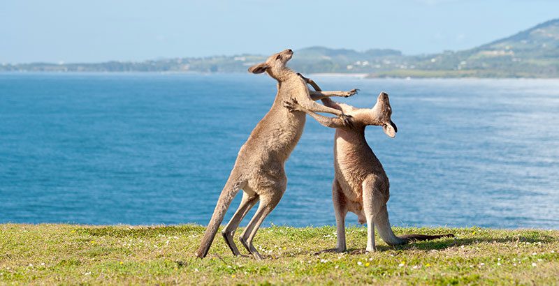 free vpn giveaway for australians