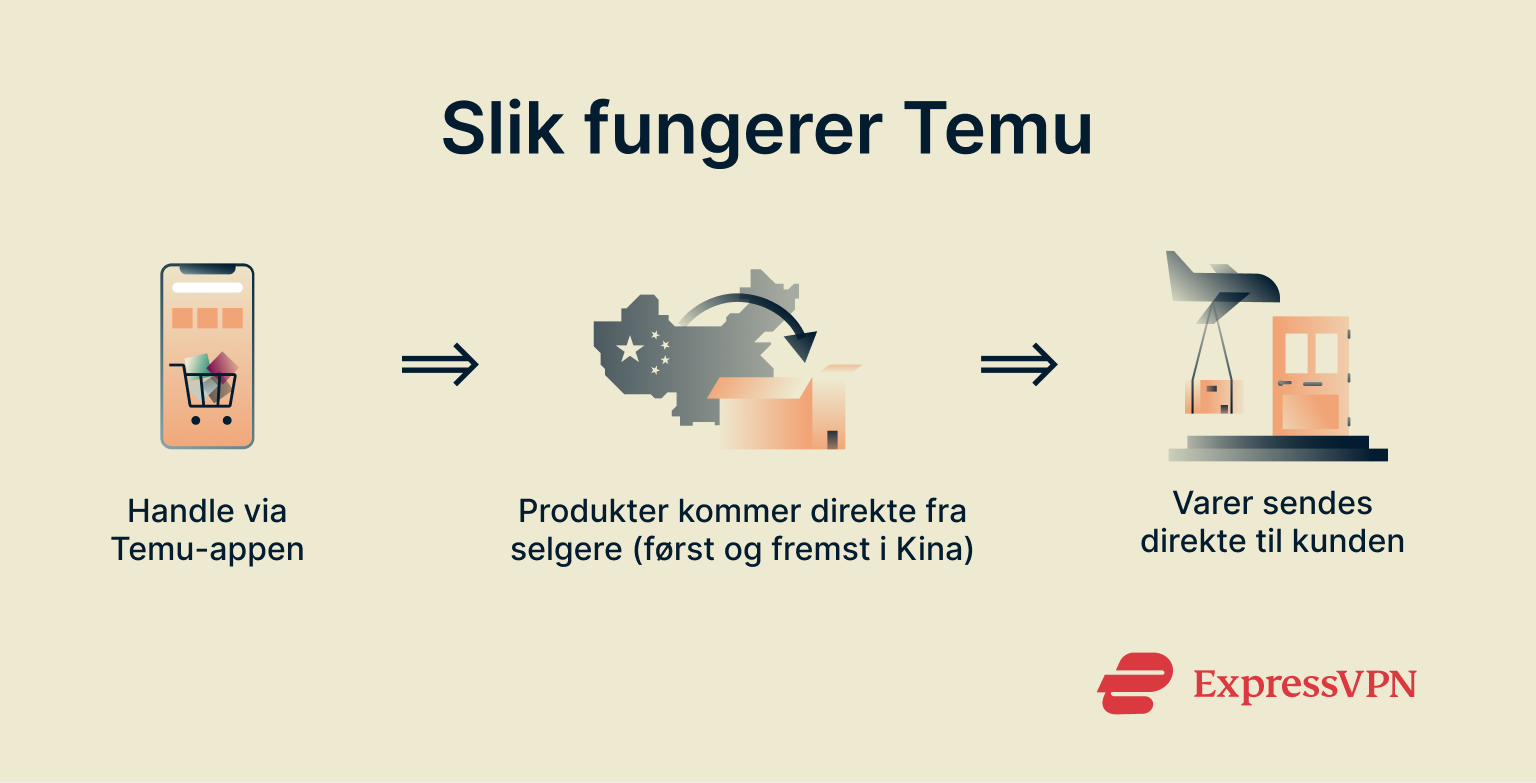 Infographic showing how Temu works