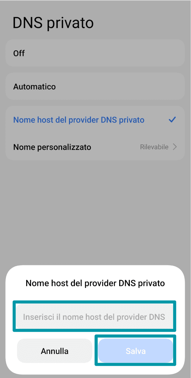 Enter The Dns Provider Settings It