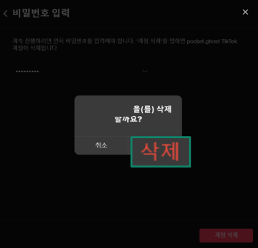 How To Delete Your Tiktok Account Permanently Ko 19