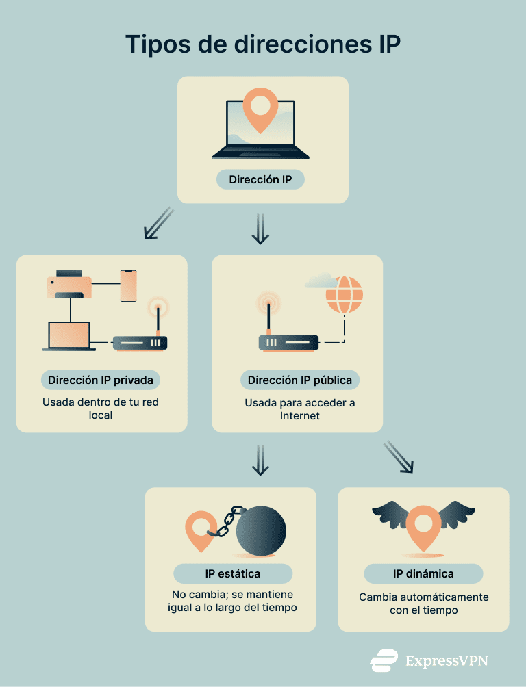 Types of IP addresses—private, public, static, and dynamic.