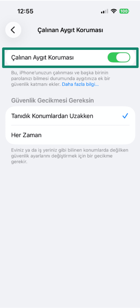 Screenshot of the iPhone Stolen Device Protection settings screen, with the 
