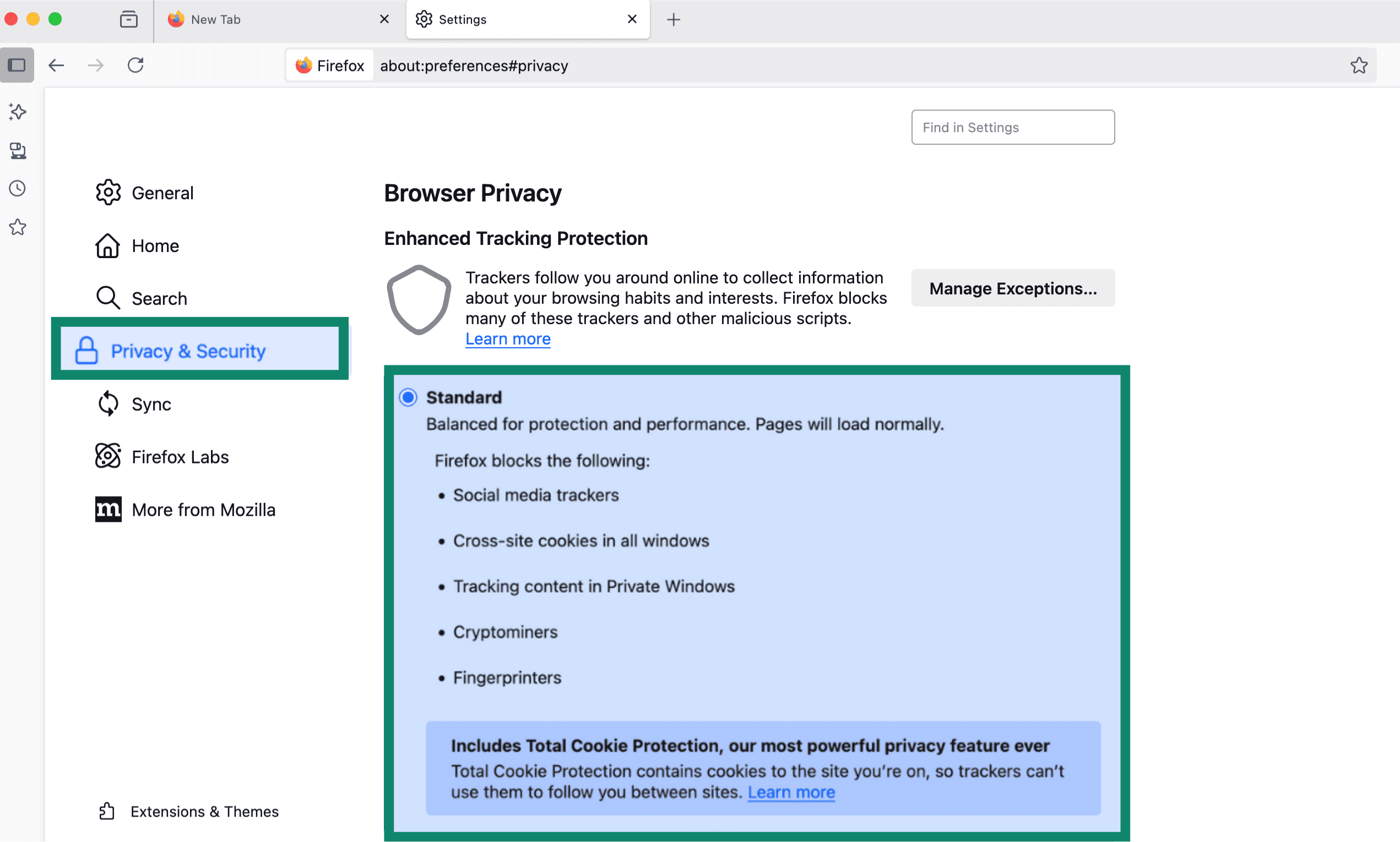 Firefox Privacy & Security settings with Standard cookies option selected