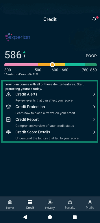 The Identity Defender homepage, highlighting the Credit Alerts option.