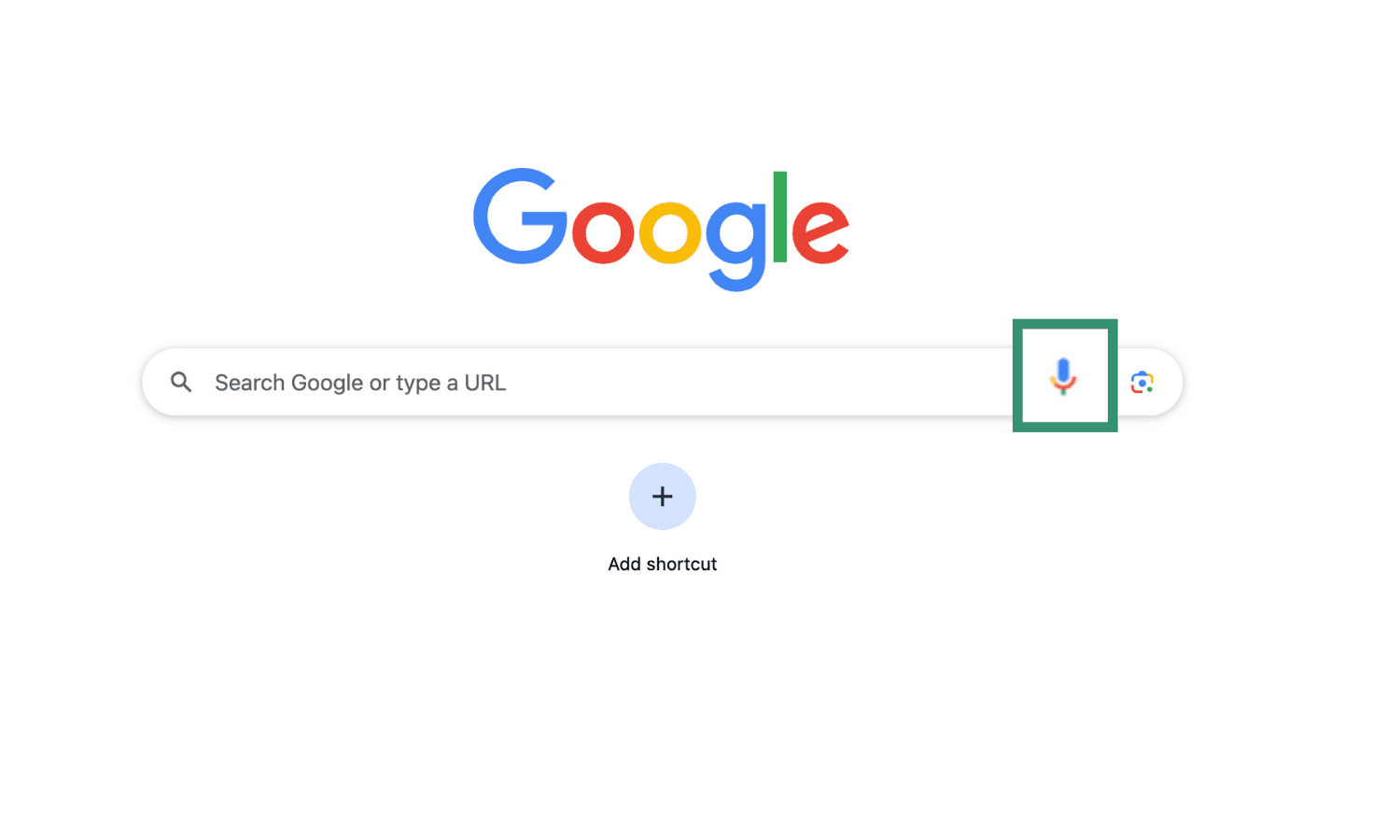 Google homepage on Safari with the voice search microphone icon in the search bar.