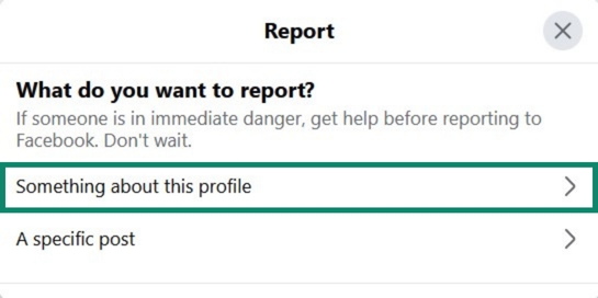 Facebook menu for reporting a profile.
