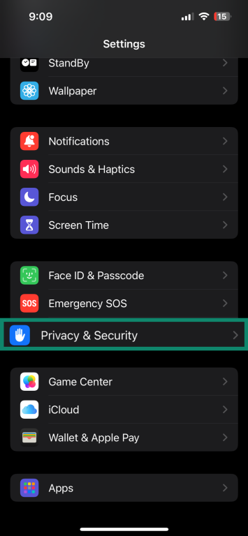 Screenshot of an iPhone Settings menu with the “Privacy & Security” option highlighted.