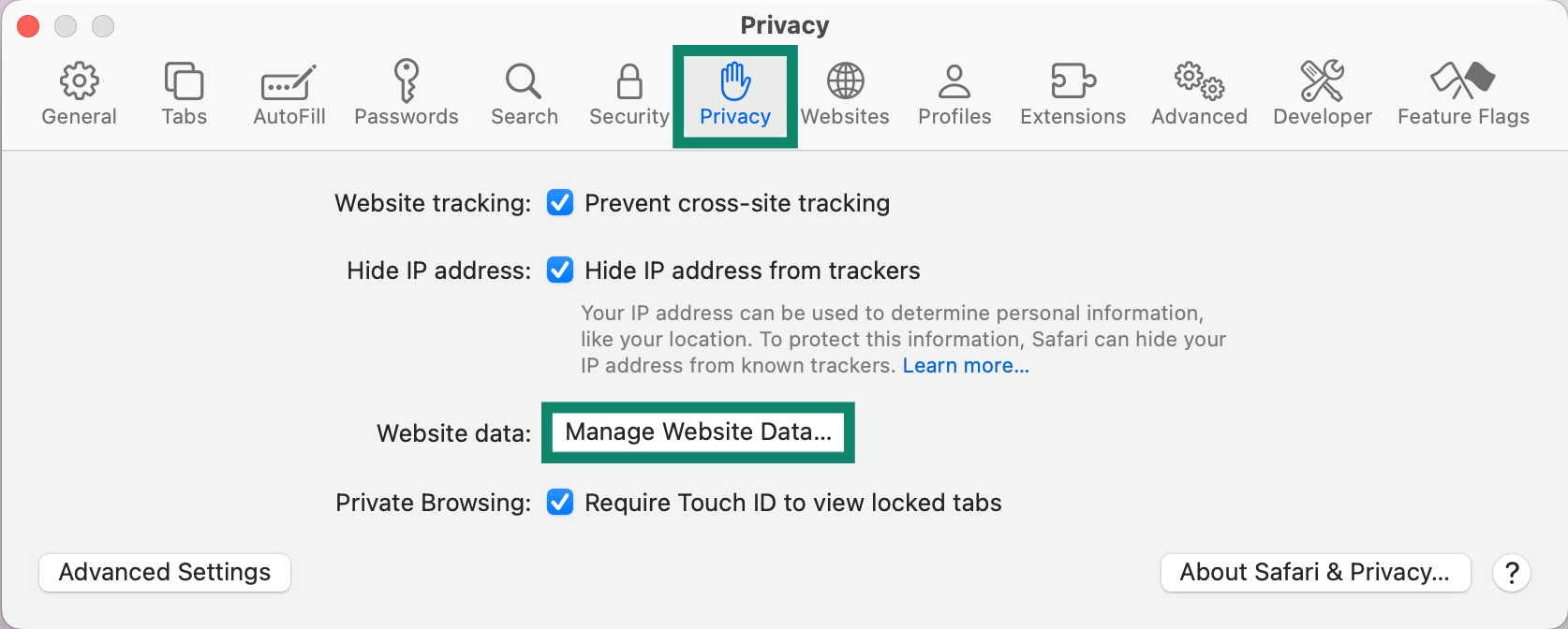 The Privacy tab in Safari, highlighting the