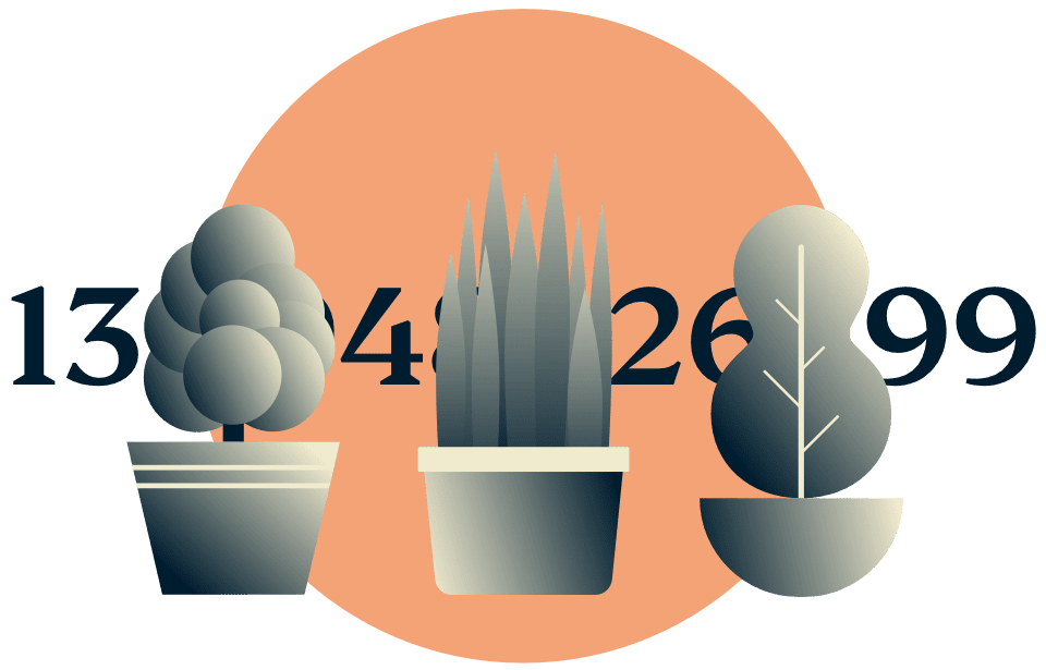 Zmień swój adres IP: rośliny doniczkowe zasłaniające adres IP.