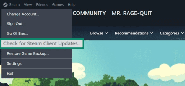 The "Check for Steam Client Updates..." option in the Steam interface.