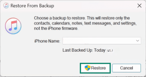 iTunes Restore From Backup option.