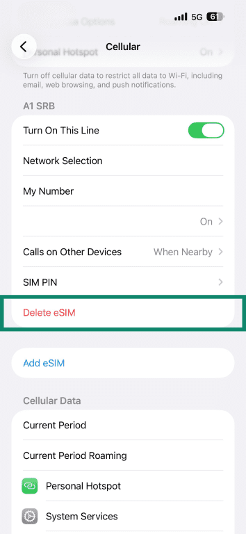 iOS' Cellular screen with the Delete eSIM option highlighted.